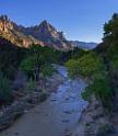 15969_29_09_2014_zion_national_park_utah_autumn_red_rock_blue_sky_fall_color_colorful_tree_mountain_forest_panoramic_landscape_photography_herbst_landschaft_58_6632x7633